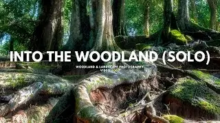 LANDSCAPE PHOTOGRAPHY | Explore my local woodland