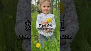Давно не виделись по китайски. Китайский язык с нуля #китайскийязык #китайскийснуля #китайский