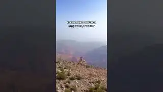 Не забывайте про отдых!