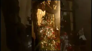 НЕ ЗАБУДТЕ СЕГОДНЯ