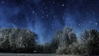 Eesti Kontsert's Holiday Greeting