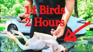 Chicken Processing From Start To Finish | Step By Step With Cost | Simple & Easy