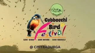 World Sparrow Day 2024|| Gubbacchi Bird Festival