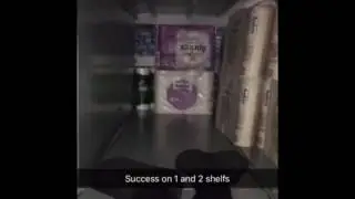 Making A 2 story Toilet Paper Fort
