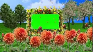 Green screen background flower animation frame effect