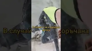 Праг на врата на баня 