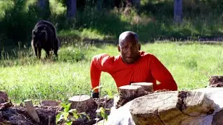 Discovery's 'Man Vs Bear'