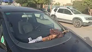 Хамон в Испании повсюду)