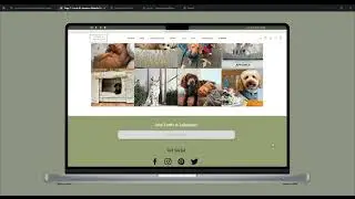 Website UI / UX Design Figma Prototype