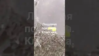 18 марта 2024 г.