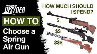 🤔 Choosing a Spring Air Gun: How Much Should You Spend? 🎯