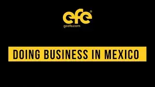 DOING BUSINESS IN MEXICO - Do I need a mexican partner?