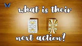 ❤️‍🔥❤️‍🩹 *NO CONTACT* WHAT IS THEIR NEXT ACTION? ❤️‍🔥❤️‍🩹😍🥰 Timeless Tarot Reading 🔮💫