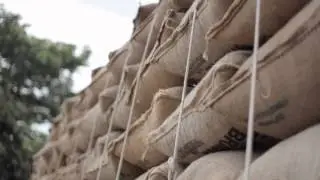 Espírito Santo do Pinhal e o Café
