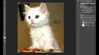 How to crop