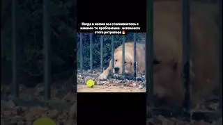 нет ничего невозможного 💯