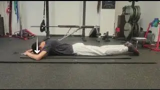 Exercises to Strengthen Neck - Prone on Elbows
