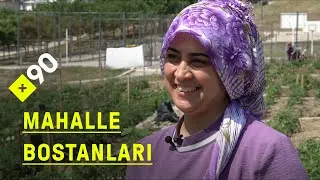 Şehirde tarım | İzmir'in mahalle bostanları: "Kış boyunca salatamız eksilmedi soframızdan"