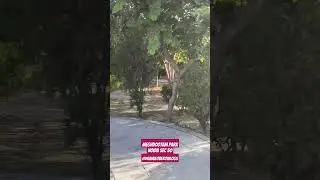Meghdootam Park Noida| Shorts | Morning Walk | Parks in Noida | Sector 50 Metro