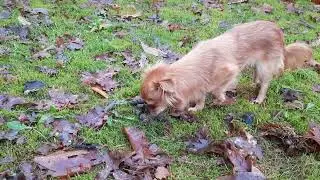 Bibi 🥰- dag 4 bij haar gastgezin