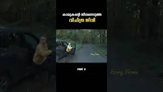 ഭീകര ജീവി അവളെ പിടിക്കുമോ? #everyframe #shortsfeed #movierecap #malayalam