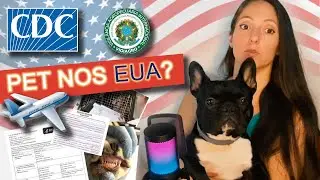 🐾 Como levar seu pet para os EUA