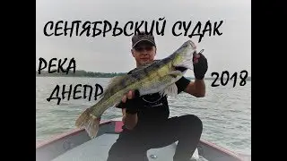 Сентябрьский Судак осенний спиннинг