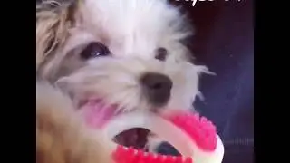 Coco from Instagram / 20180128
