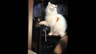 Когда понимаешь что тебя спалили