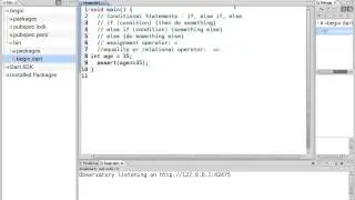 12 Learn to Program in Dart:  Conditional Statements - if, else if, else