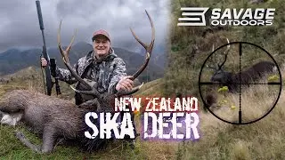 SIKA DEER Hunting in NEW ZEALAND!