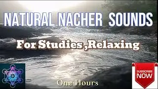 Natural Nature her Sounds for Relaxing Sleeping Studies.segeriya.uTuber