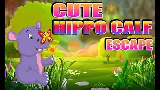 G4K Cute Hippo Calf Escape Game Walkthrough