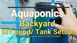 Aquaponics Setup, Tilapia DIY  backyard fish tank