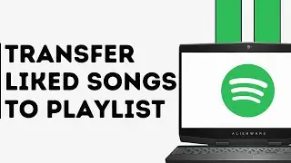 How to Transfer Liked Songs from Spotify to Playlist