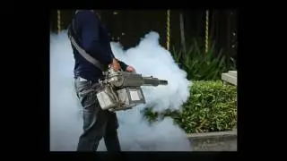 Pest Control in Rowlett, TX - Tips For Choosing A Pest Control Professional