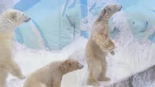 We'll go left, we'll go right