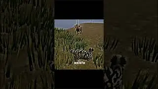 #thecursedisle