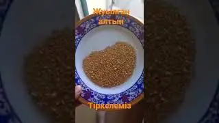 жуылған алтын