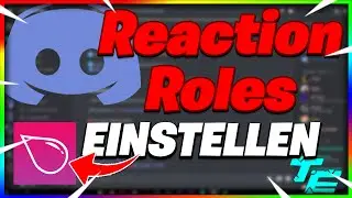 Discord REACTION ROLES Bot hinzufügen + einstellen einfach erklärt | Discord Bots einstellen #1