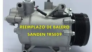 Replacement of bearing of sanden TRSE09 compressor (Honda CRV) and others.