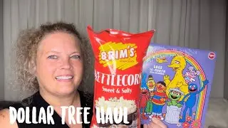 Dollar Tree Haul ❤️ Lots of New Finds | August 27, 2024