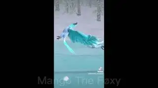 Wildcraft tiktok compilations #4 🍃😺