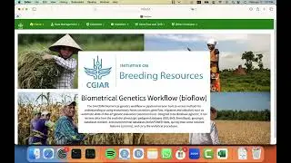 #5 Breeding Analytics Pipeline: How to QA genotype data?