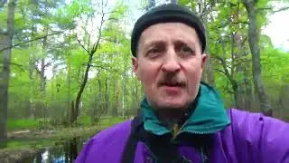 мещера   р  пра     -дорога-река-