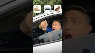 Será que o vidro elétrico vai cortar a ave?!😱 