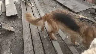 А чё, уже лето?☺️😀