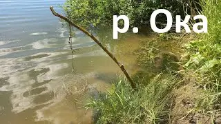 Oka River. Fishing with a stretch cord rig, explaining the gear