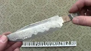 Выпуск № 37, 2023.