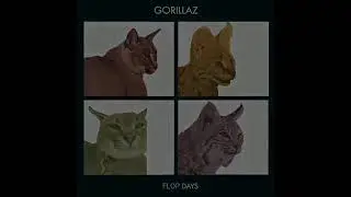 floppa phonk